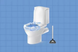Signs of Toilet Bowl Choke