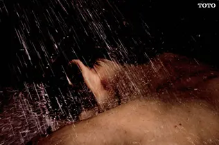 5 TOTO Technologies that Help Provide the Perfect Shower